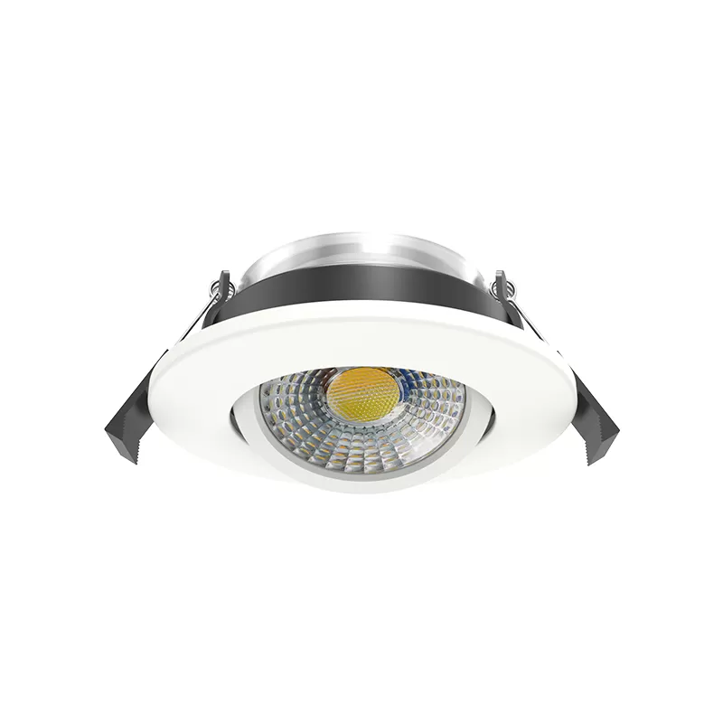 LED Downlight Neptunus